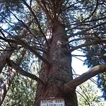 Le Manoir Des Sens - Foret De ベッド・アンド・ブレックファスト