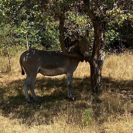 Le Manoir Des Sens - Foret De B&B 베아카임