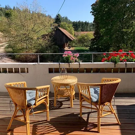 Le Manoir Des Sens - Foret De