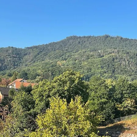 Nocleg ze śniadaniem Le Manoir Des Sens - Foret De 4*
