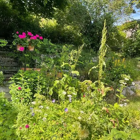 Le Manoir Des Sens - Foret De