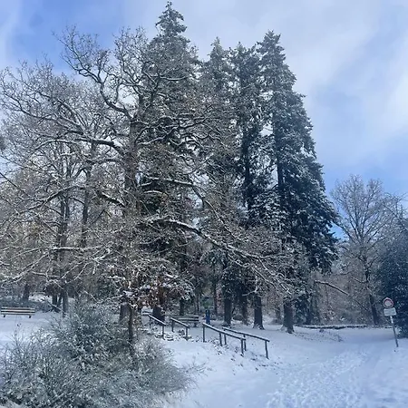 Le Manoir Des Sens - Foret De Bergheim