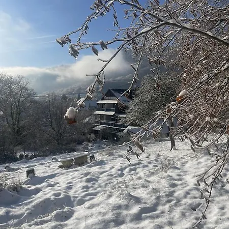 Nocleg ze śniadaniem Le Manoir Des Sens - Foret De 4*