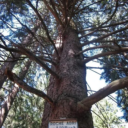 Le Manoir Des Sens - Foret De Bed & Breakfast