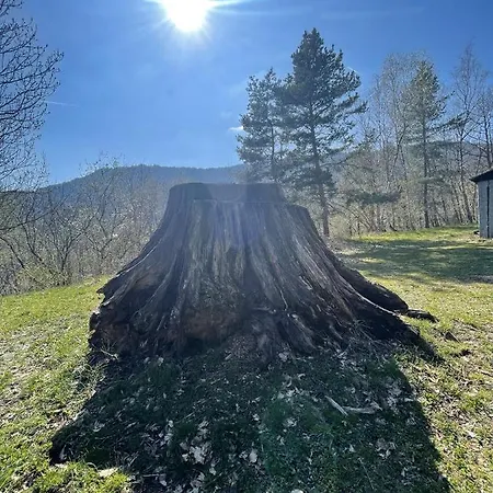 Le Manoir Des Sens - Foret De