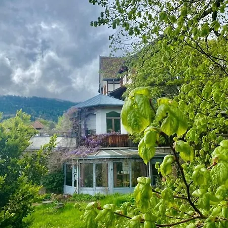 Le Manoir Des Sens - Foret De Bergheim