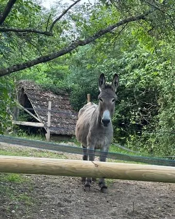 Nocleg ze śniadaniem Le Manoir Des Sens - Foret De