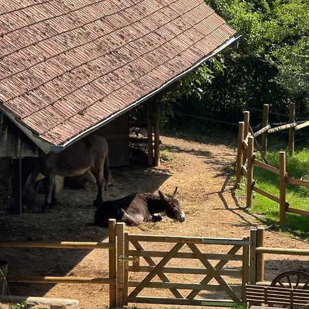 Nocleg ze śniadaniem Le Manoir Des Sens - Foret De Bergheim