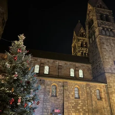 Le Manoir Des Sens - Foret De 4*