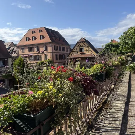 Le Manoir Des Sens - Foret De 4*