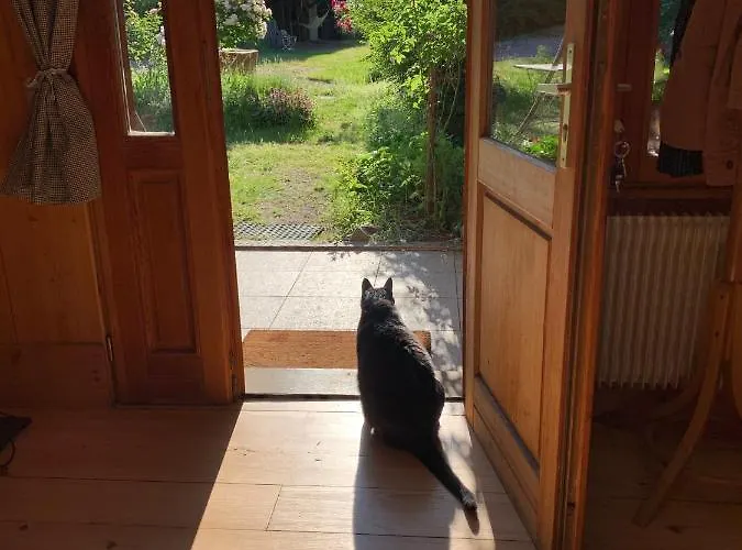 Le Manoir Des Sens - Foret De 베아카임