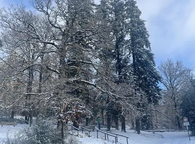 Le Manoir Des Sens - Foret De 베아카임