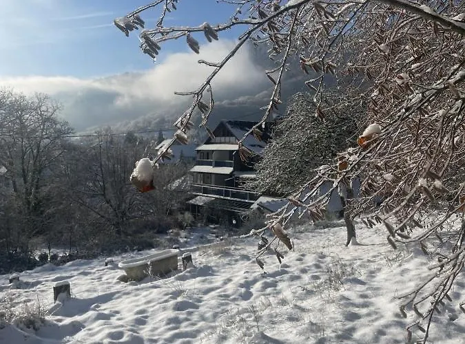 B&B Le Manoir Des Sens - Foret De 4*