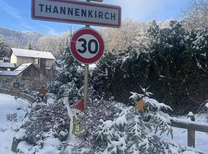 B&B Le Manoir Des Sens - Foret De 4*