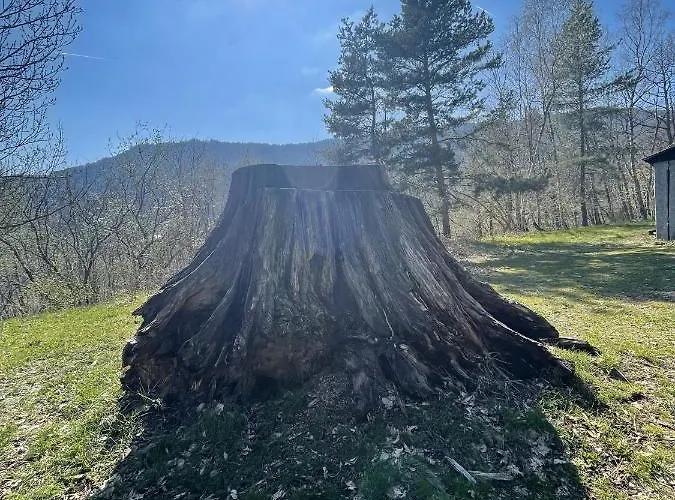 Le Manoir Des Sens - Foret De